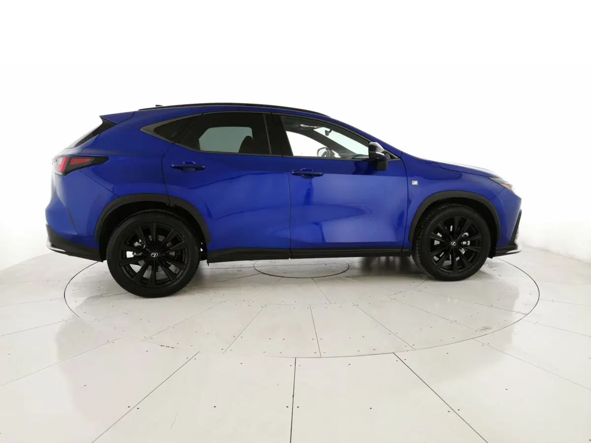 Lexus NX usata a Chieti (4)