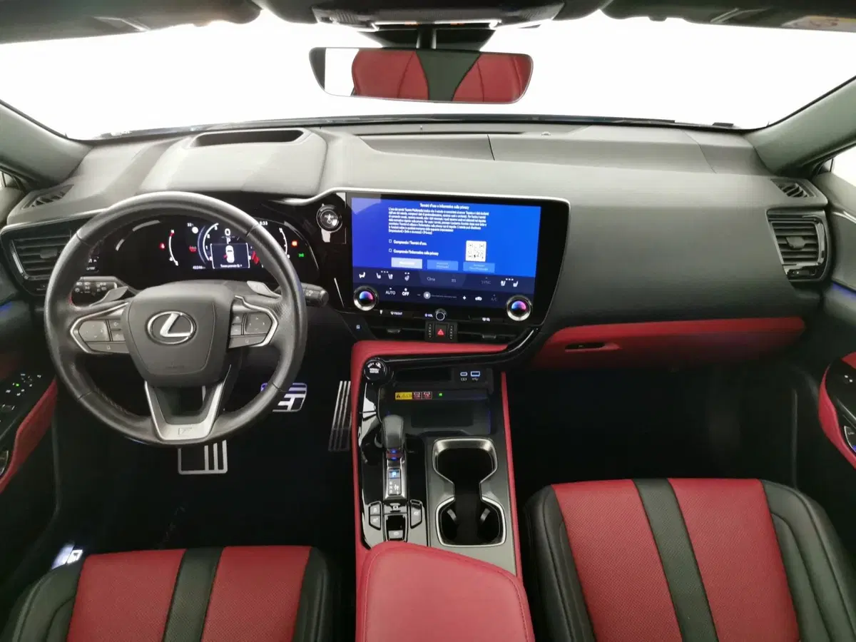 Lexus NX usata a Chieti (8)