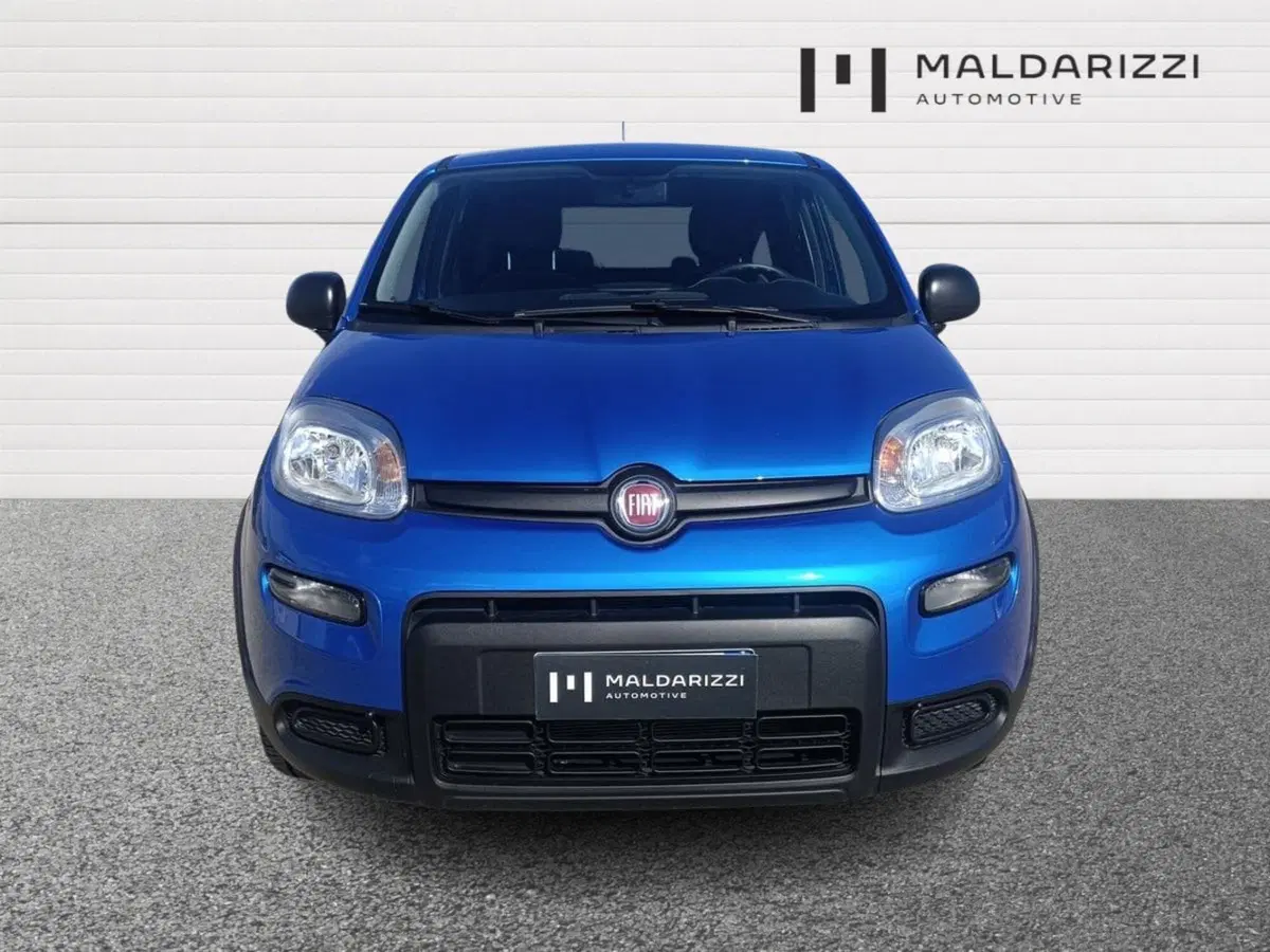 Fiat Panda Cross usata a Bari (2)