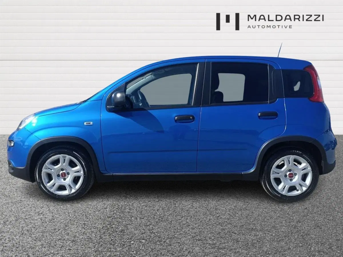 Fiat Panda Cross usata a Bari (5)
