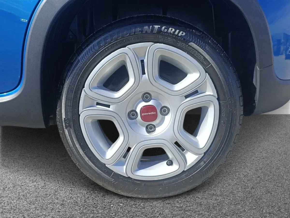 Fiat Panda Cross usata a Bari (6)