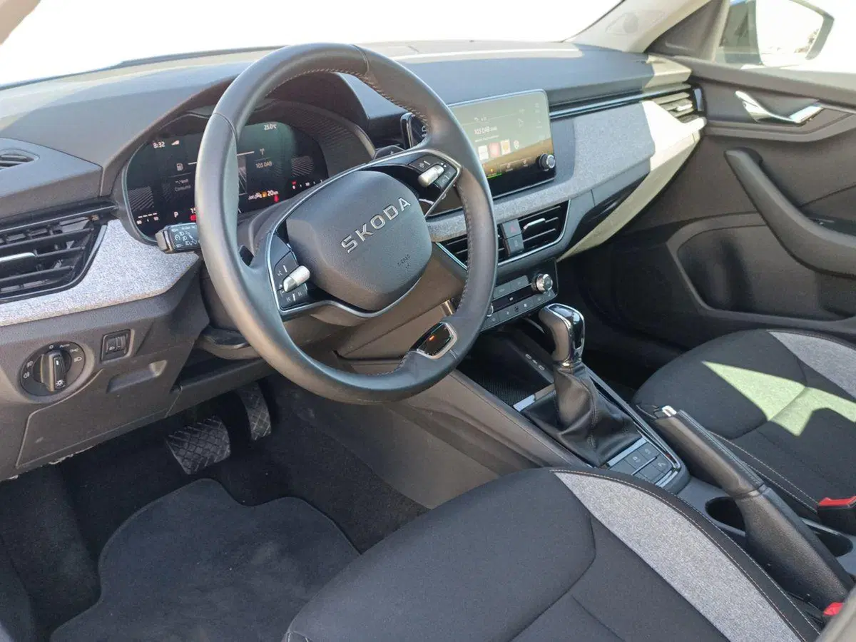 Skoda Kamiq usata a Bari (10)