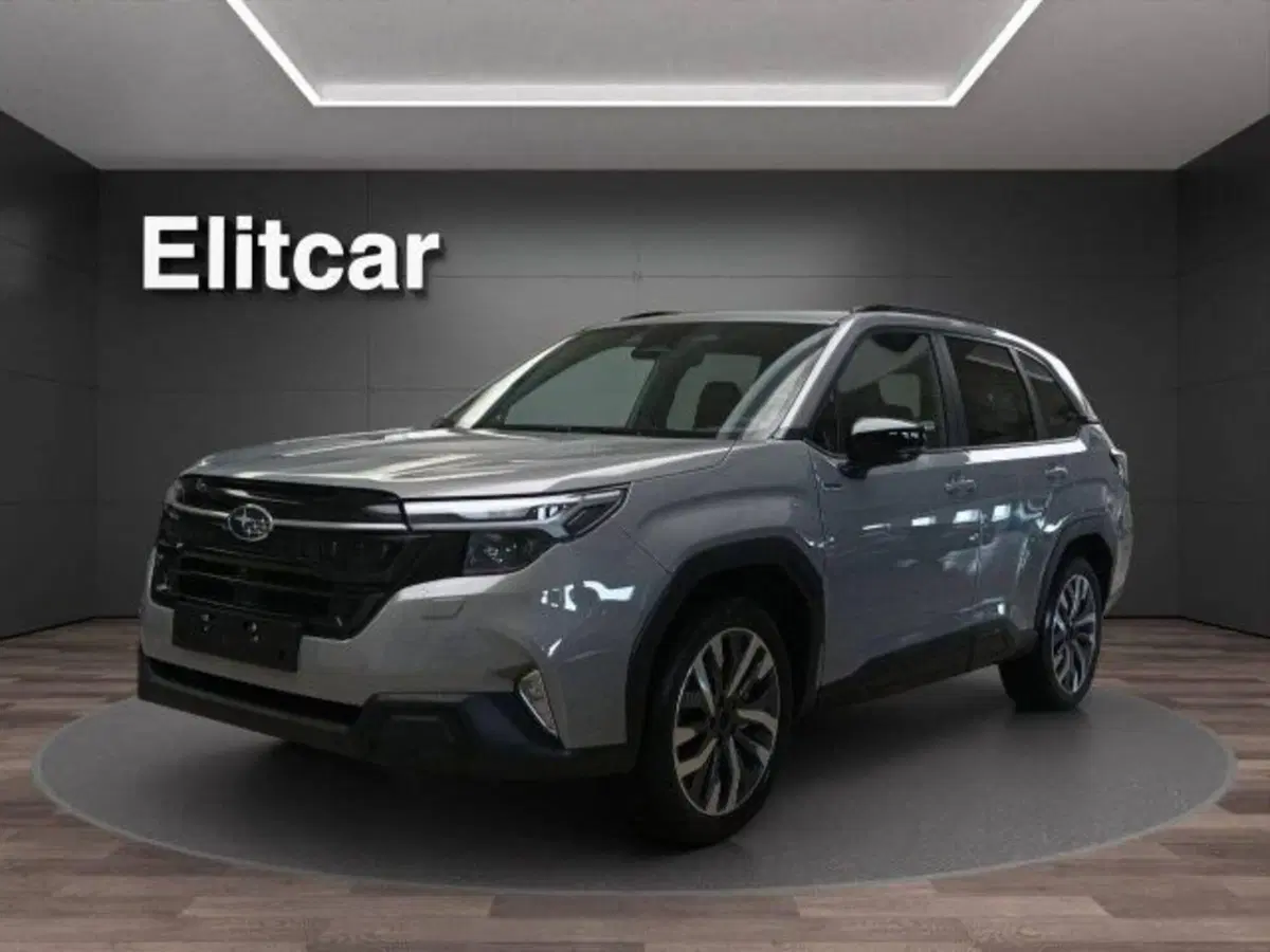 Subaru Forester usata a Novara