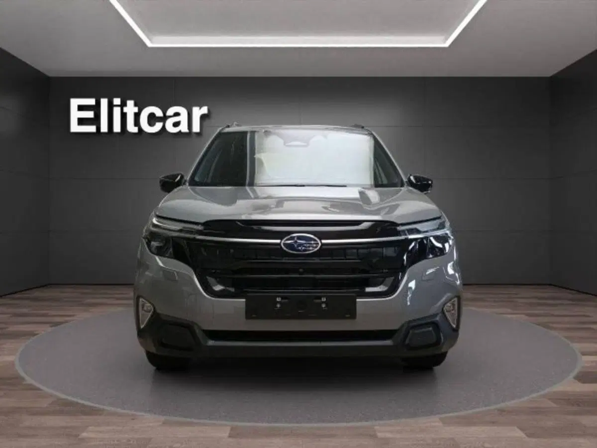 Subaru Forester usata a Novara (3)