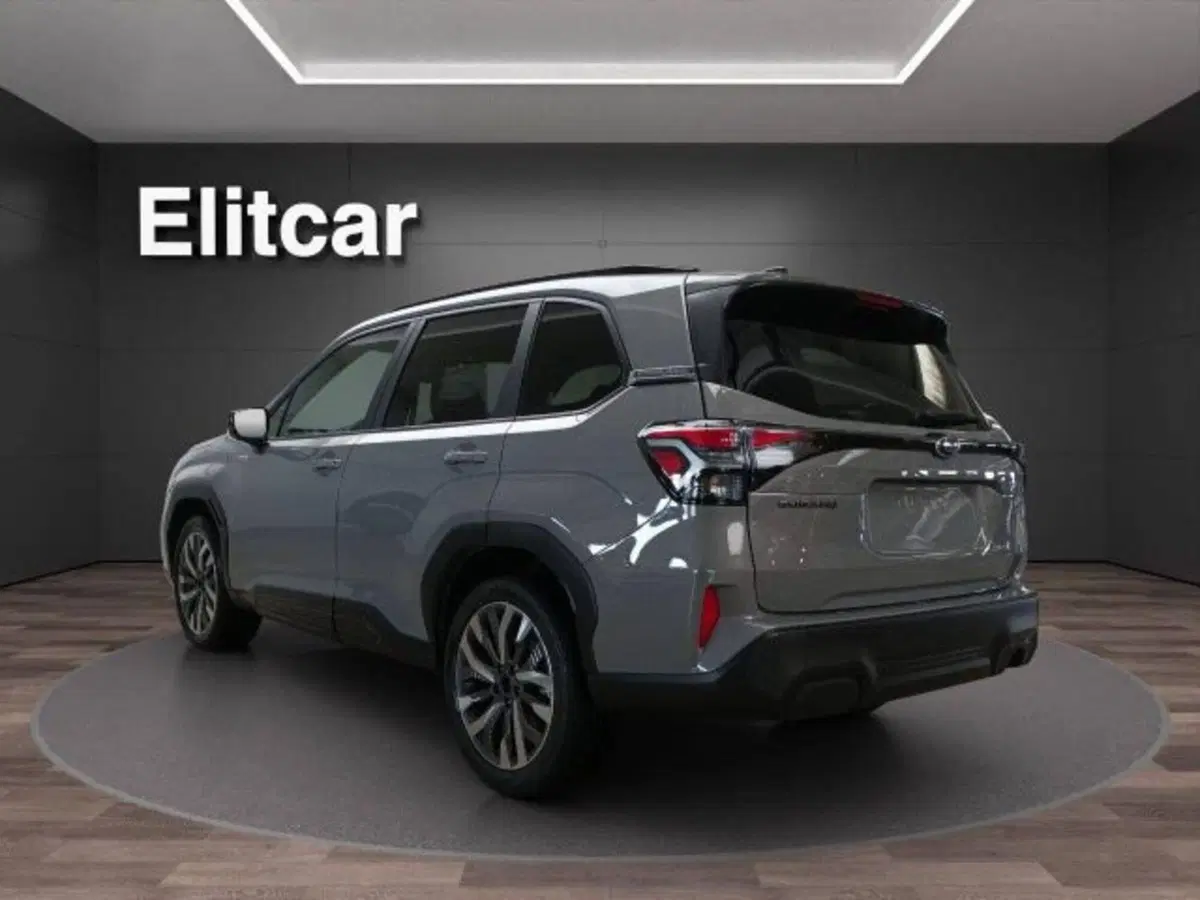 Subaru Forester usata a Novara (4)