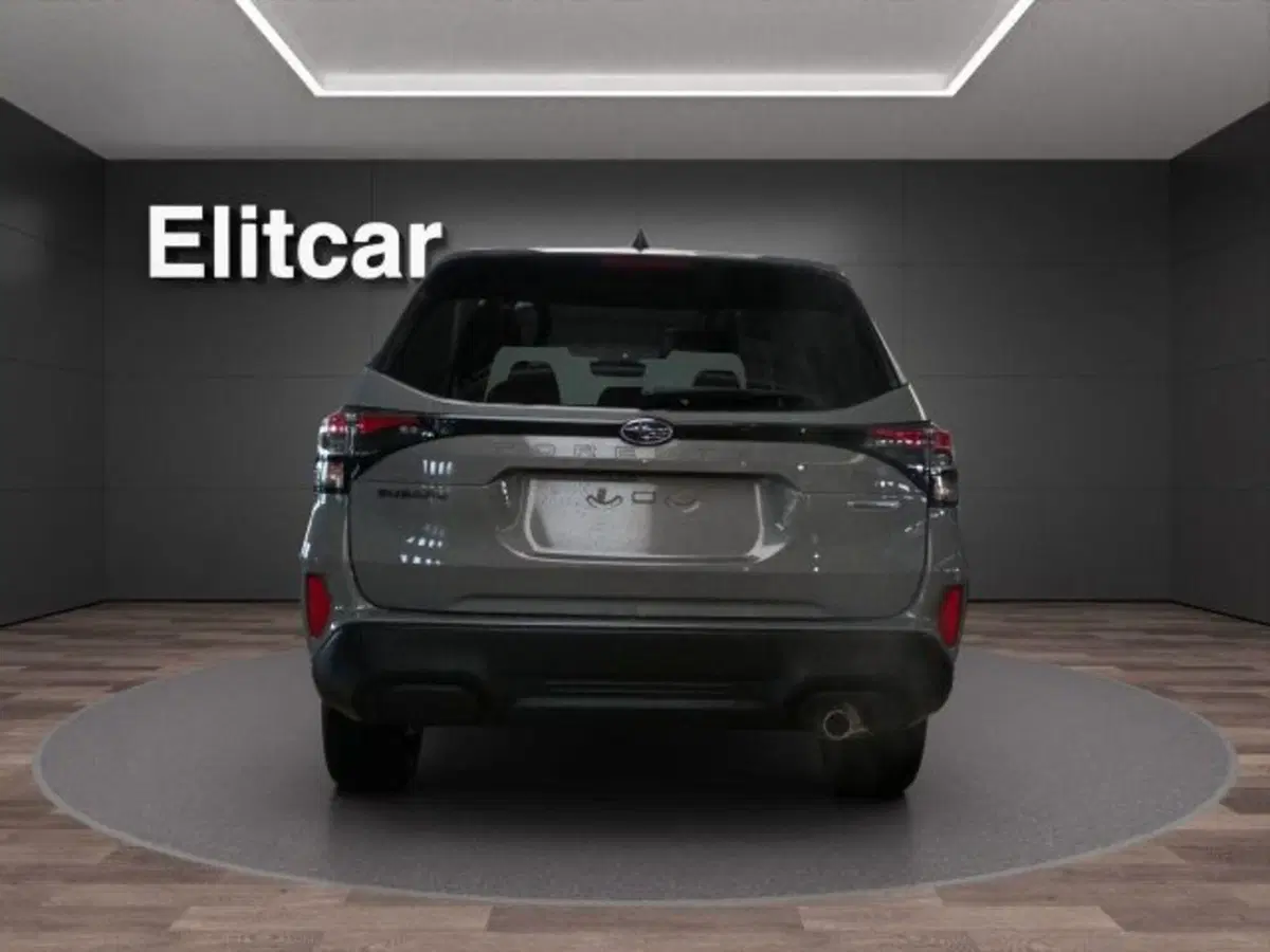 Subaru Forester usata a Novara (6)