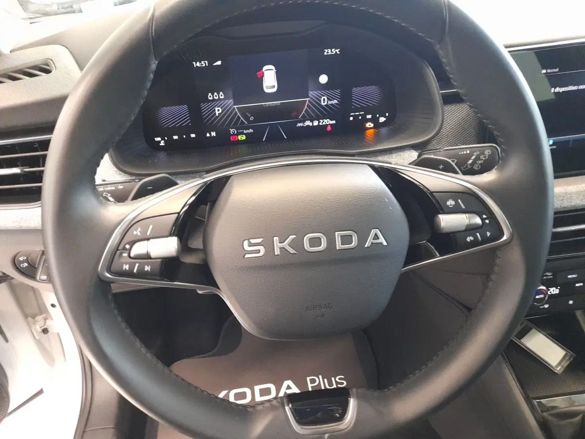 Skoda Kamiq usata a Bologna (11)