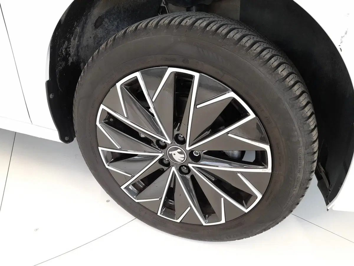 Skoda Kamiq usata a Bologna (7)