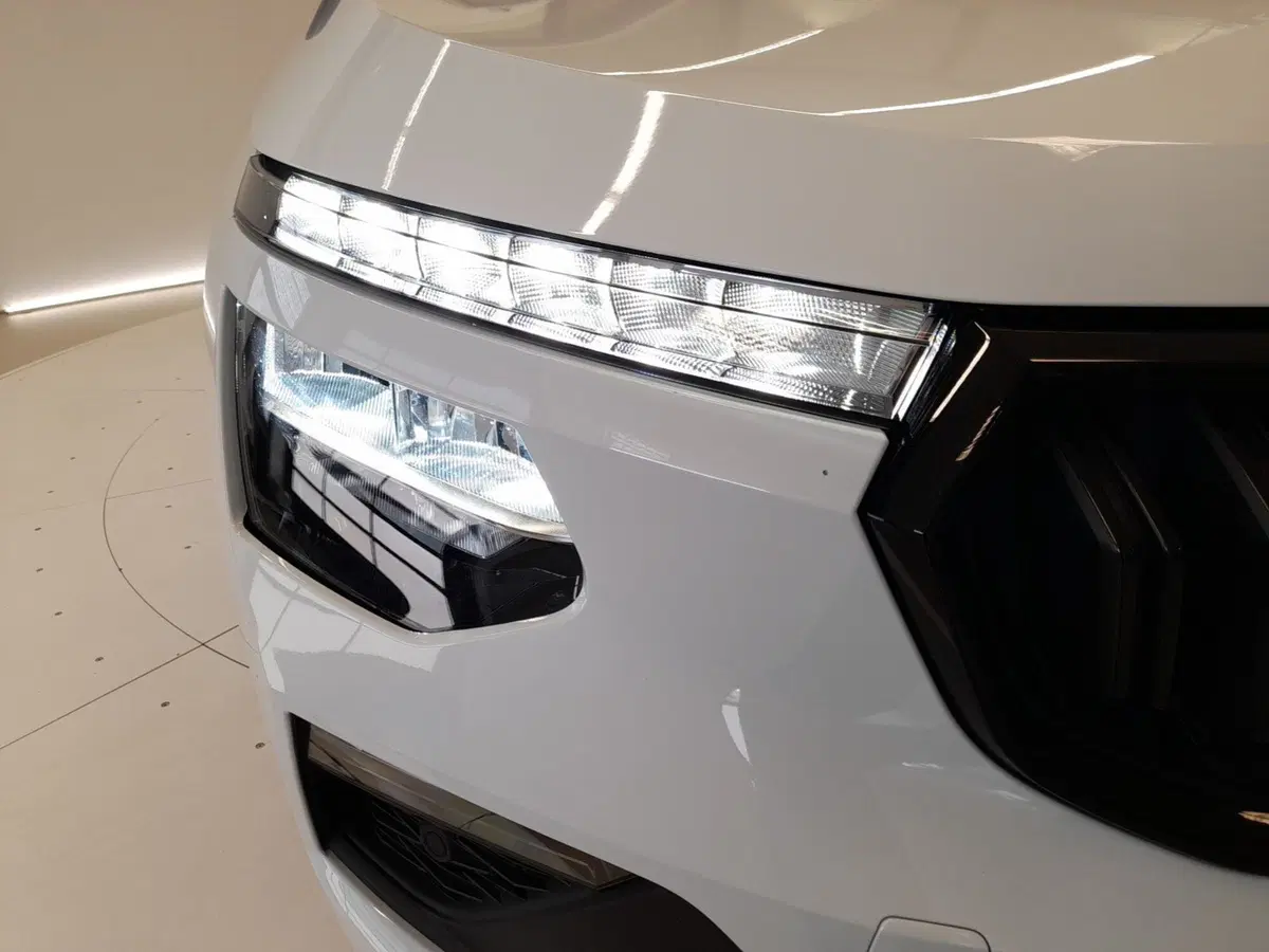 Skoda Kamiq usata a Bologna (8)