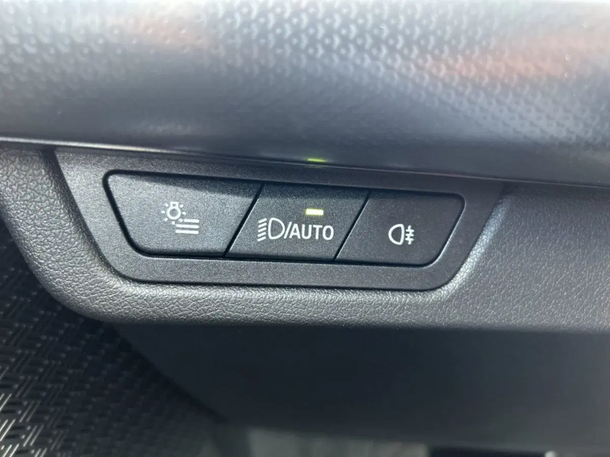 BMW X1 usata a Cuneo (20)