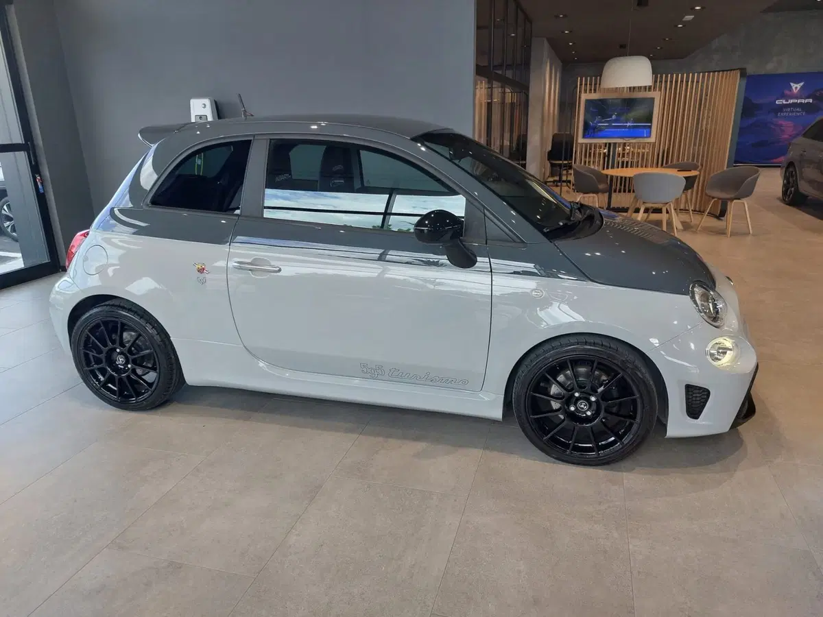 Abarth 595 usata a Frosinone (2)