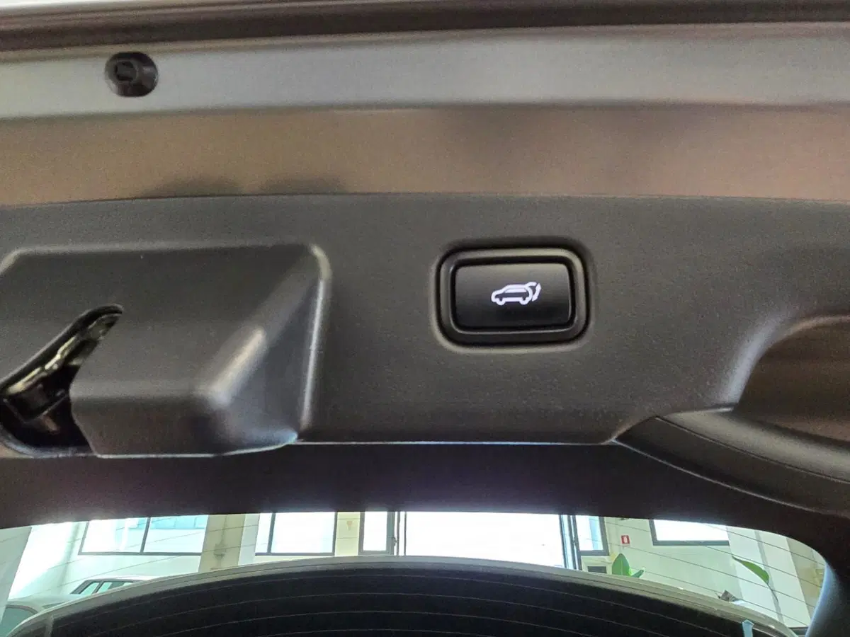 Kia Niro usata a Rimini (14)