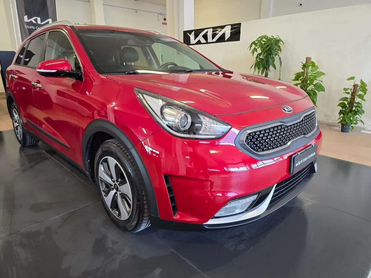 Kia Niro usata a Rimini (3)