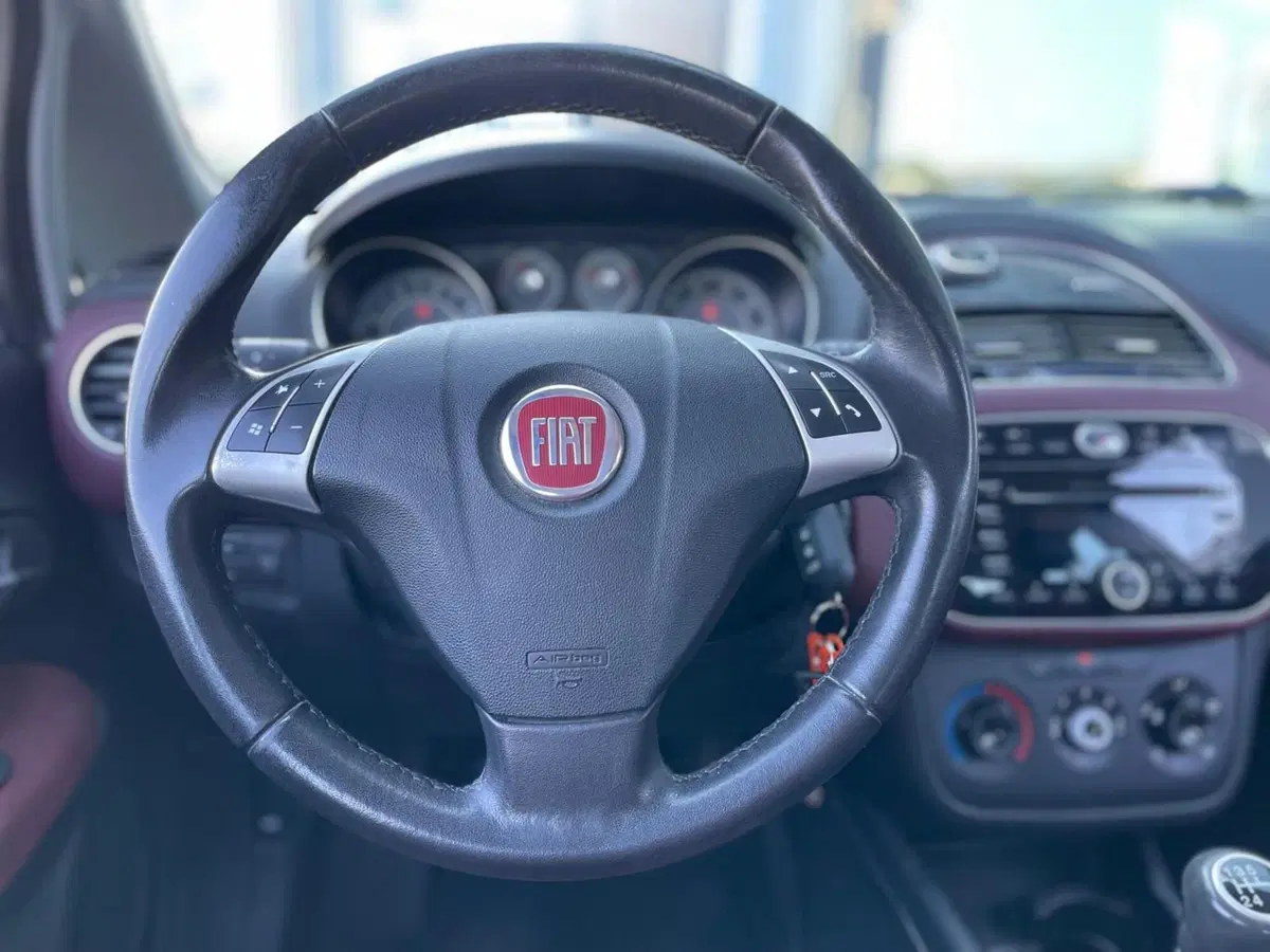Fiat Punto Evo usata a Ancona (10)