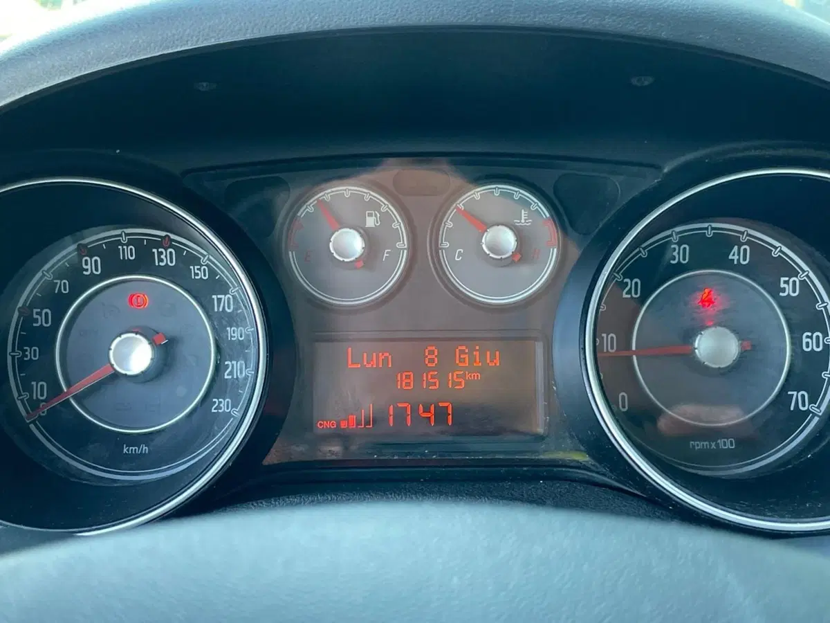 Fiat Punto Evo usata a Ancona (11)