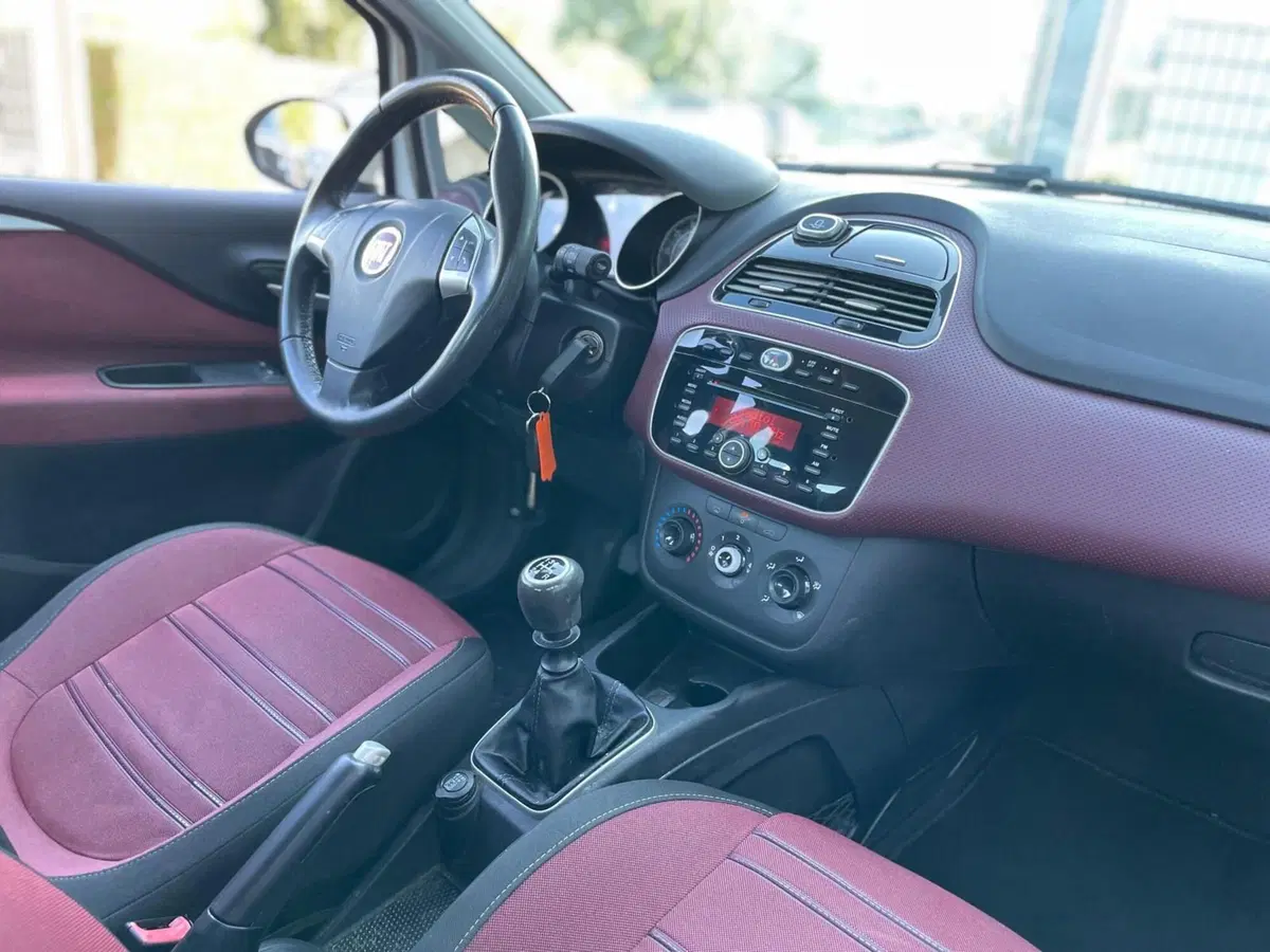 Fiat Punto Evo usata a Ancona (14)