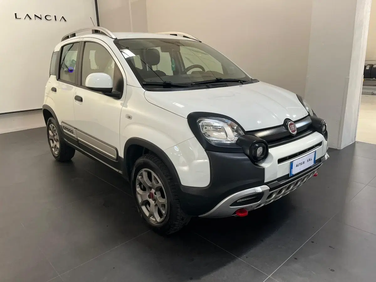 Fiat Panda Cross usata a Lucca (3)