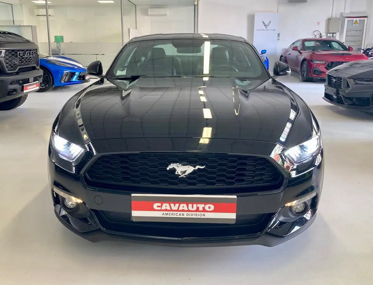 Ford Mustang Coupé usata a Monza e Brianza (2)