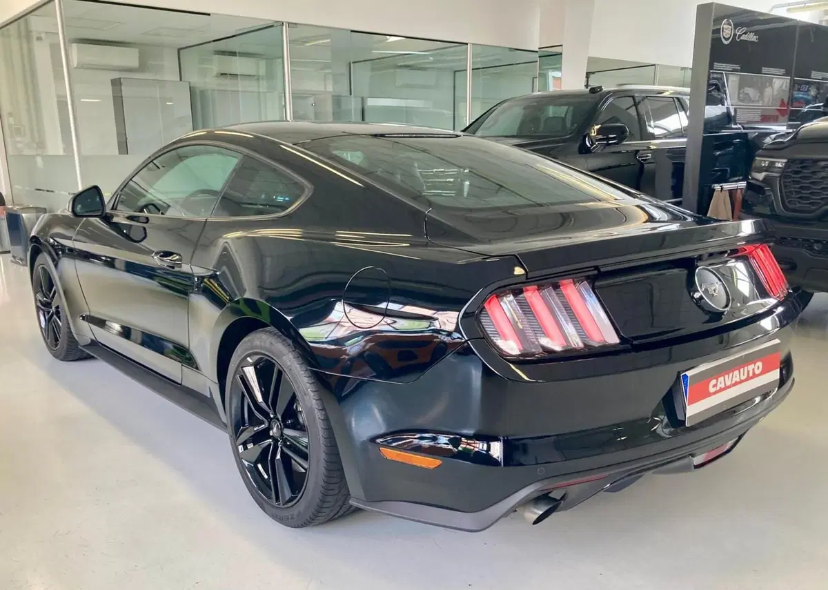 Ford Mustang Coupé usata a Monza e Brianza (5)