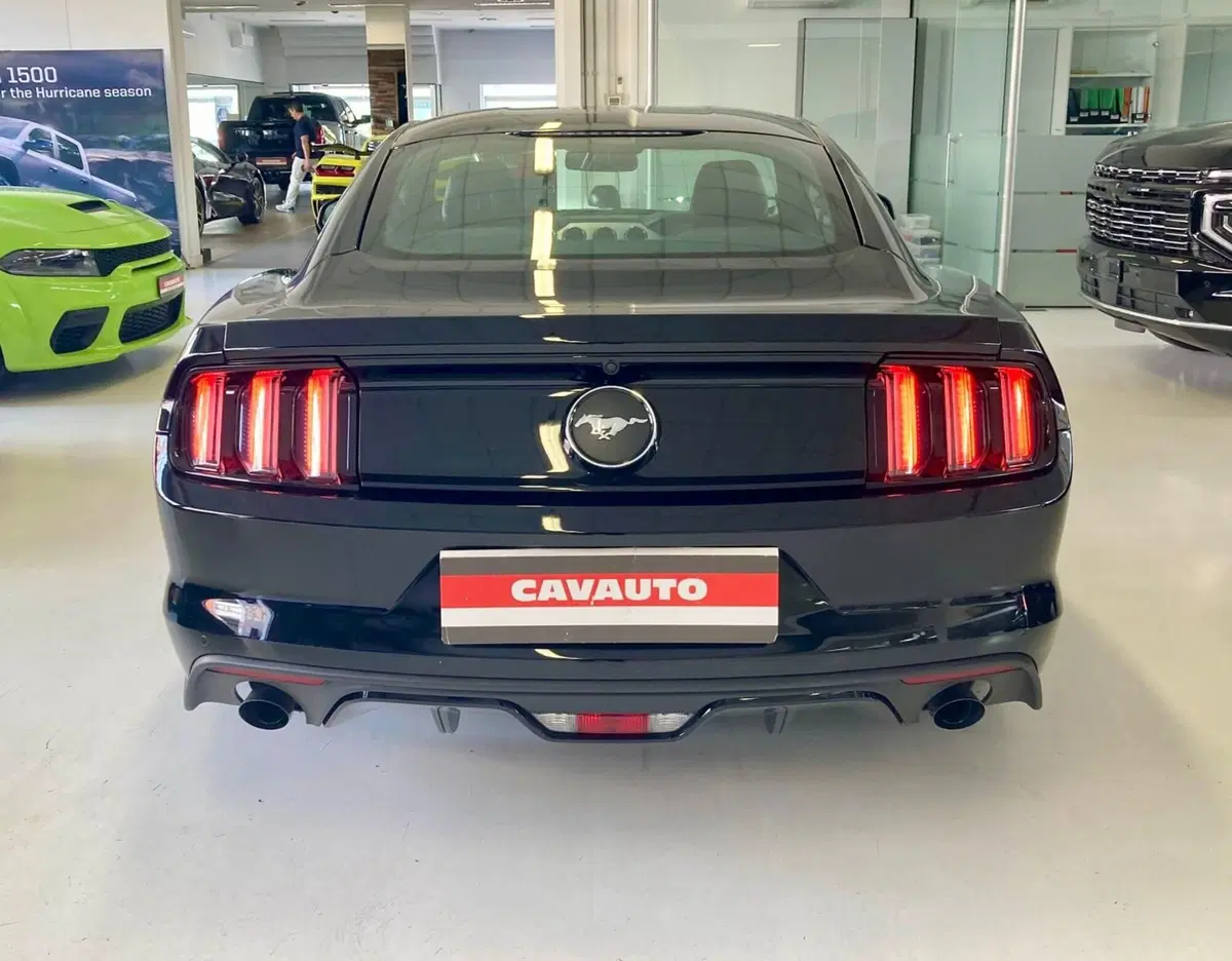 Ford Mustang Coupé usata a Monza e Brianza (7)