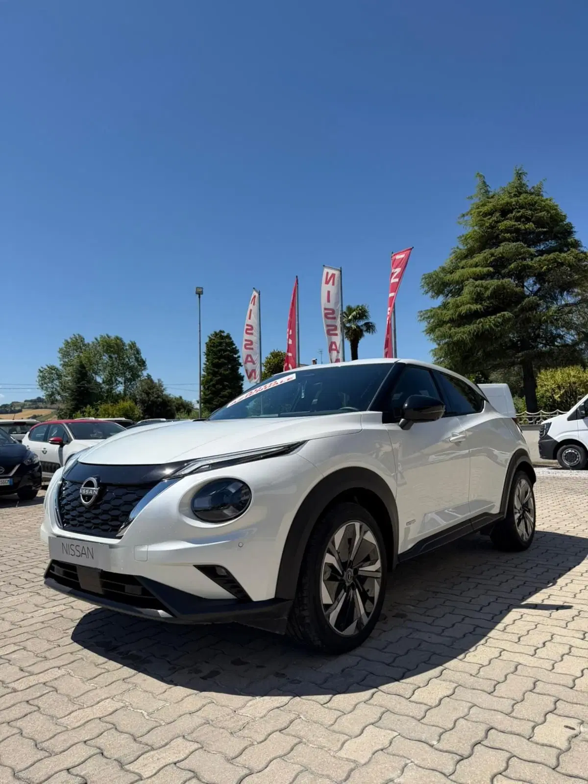 Nissan Juke usata a Macerata (2)