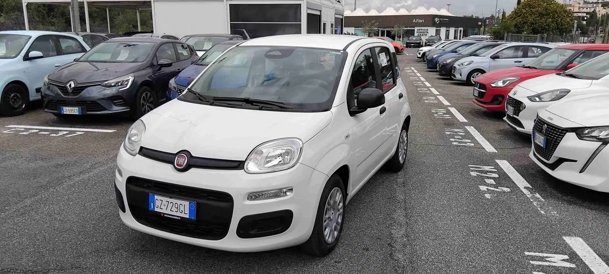 Fiat Pandina usata a Roma