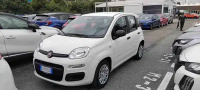 Fiat Pandina 1.0 firefly hybrid s&amp;s 70cv del 2025 usata a Roma