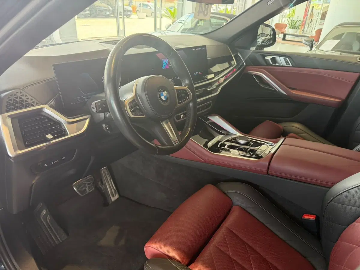 BMW X6 usata a Firenze (7)