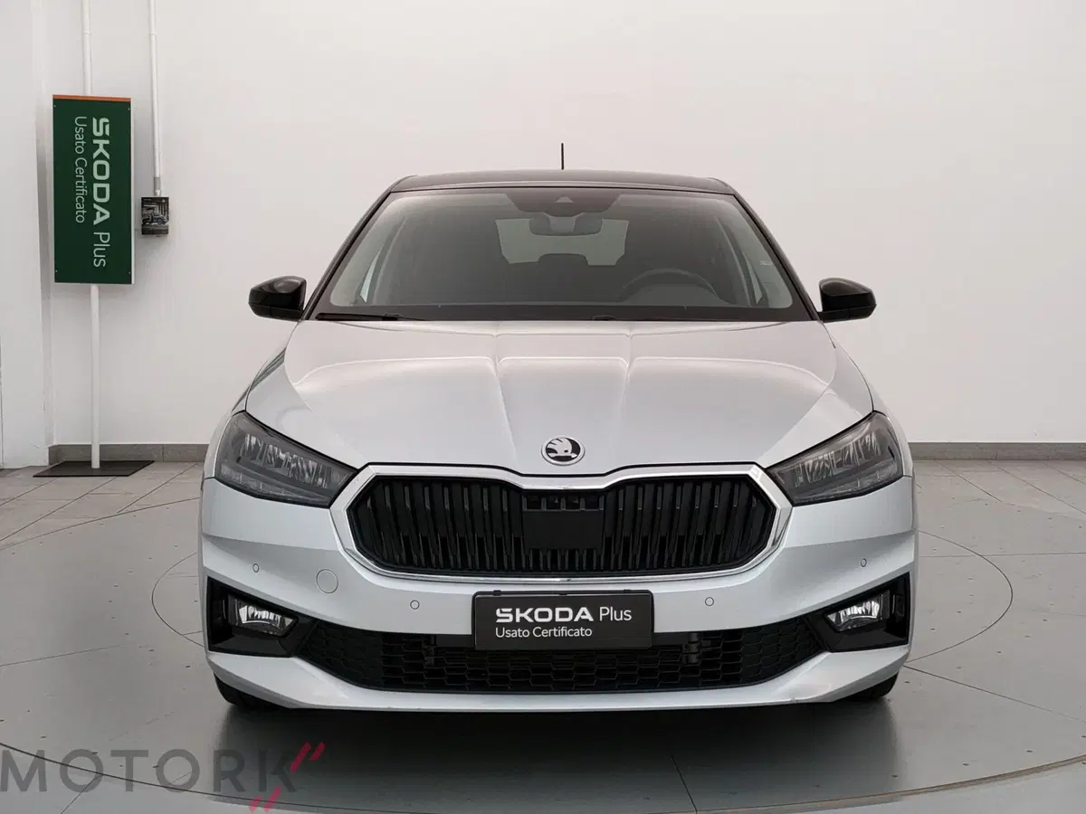 Skoda Fabia usata a Varese (2)