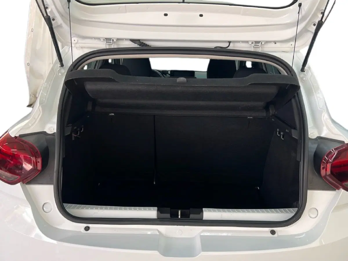 Dacia Sandero usata a Roma (10)