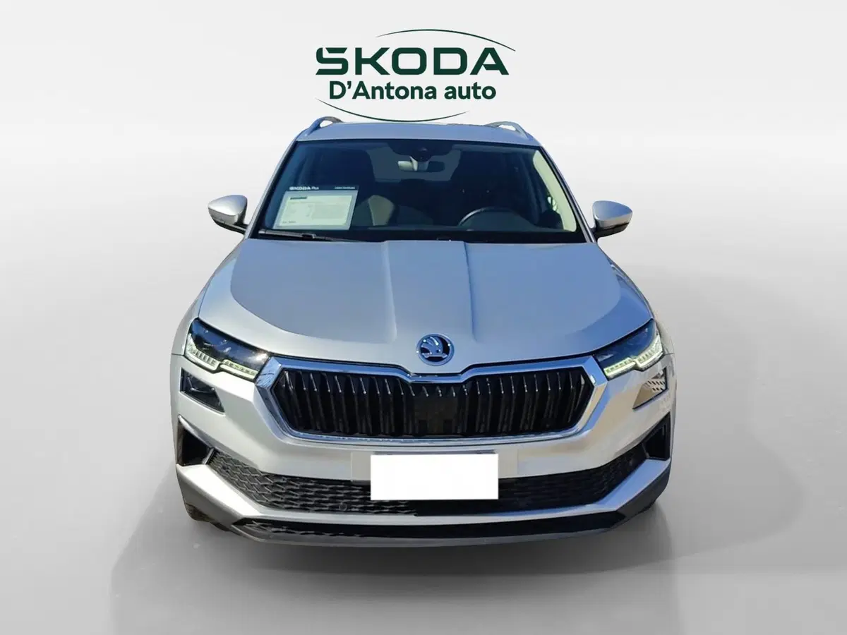 Skoda Karoq usata a Taranto (4)