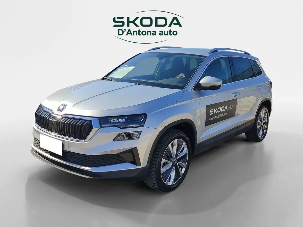 Skoda Karoq usata a Taranto (5)