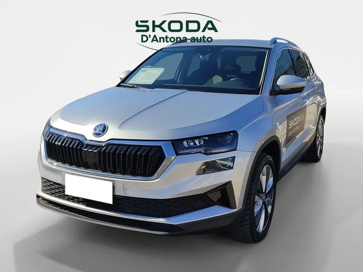 Skoda Karoq usata a Taranto (7)