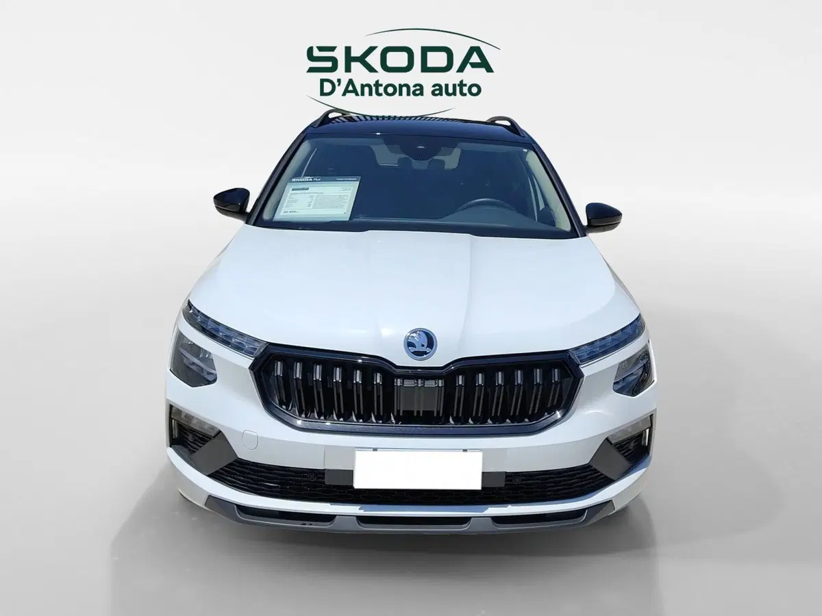Skoda Kamiq usata a Taranto (2)