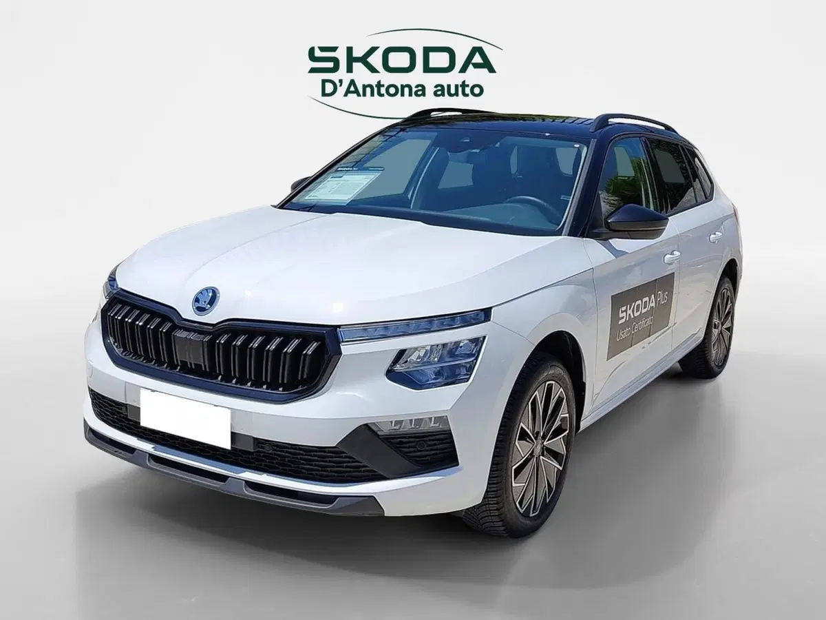 Skoda Kamiq usata a Taranto (3)
