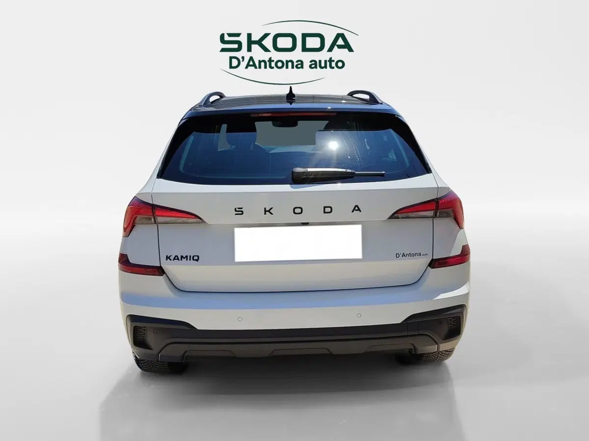 Skoda Kamiq usata a Taranto (4)