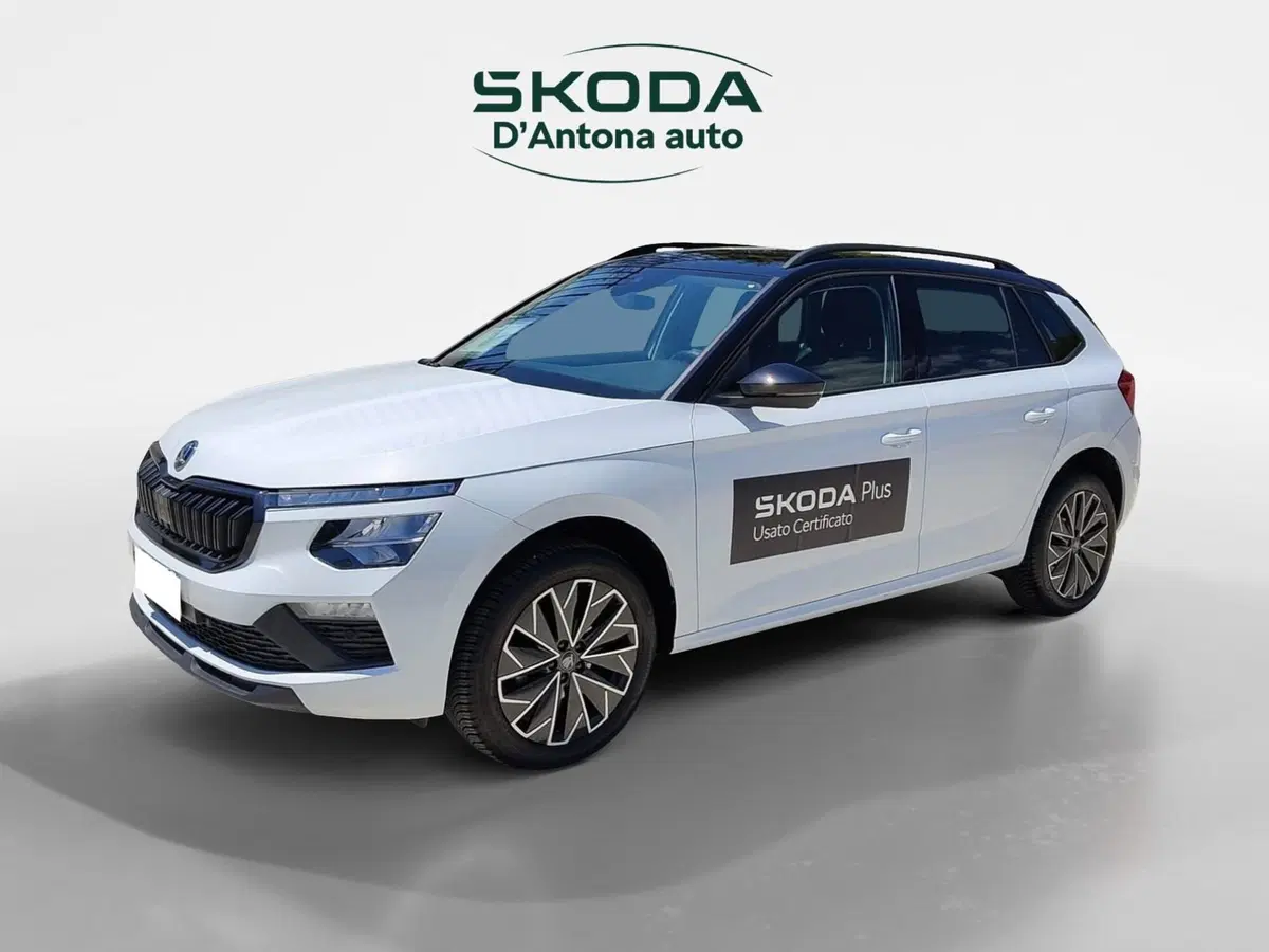 Skoda Kamiq usata a Taranto (5)