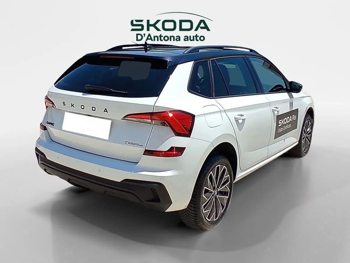 Skoda Kamiq usata a Taranto (6)