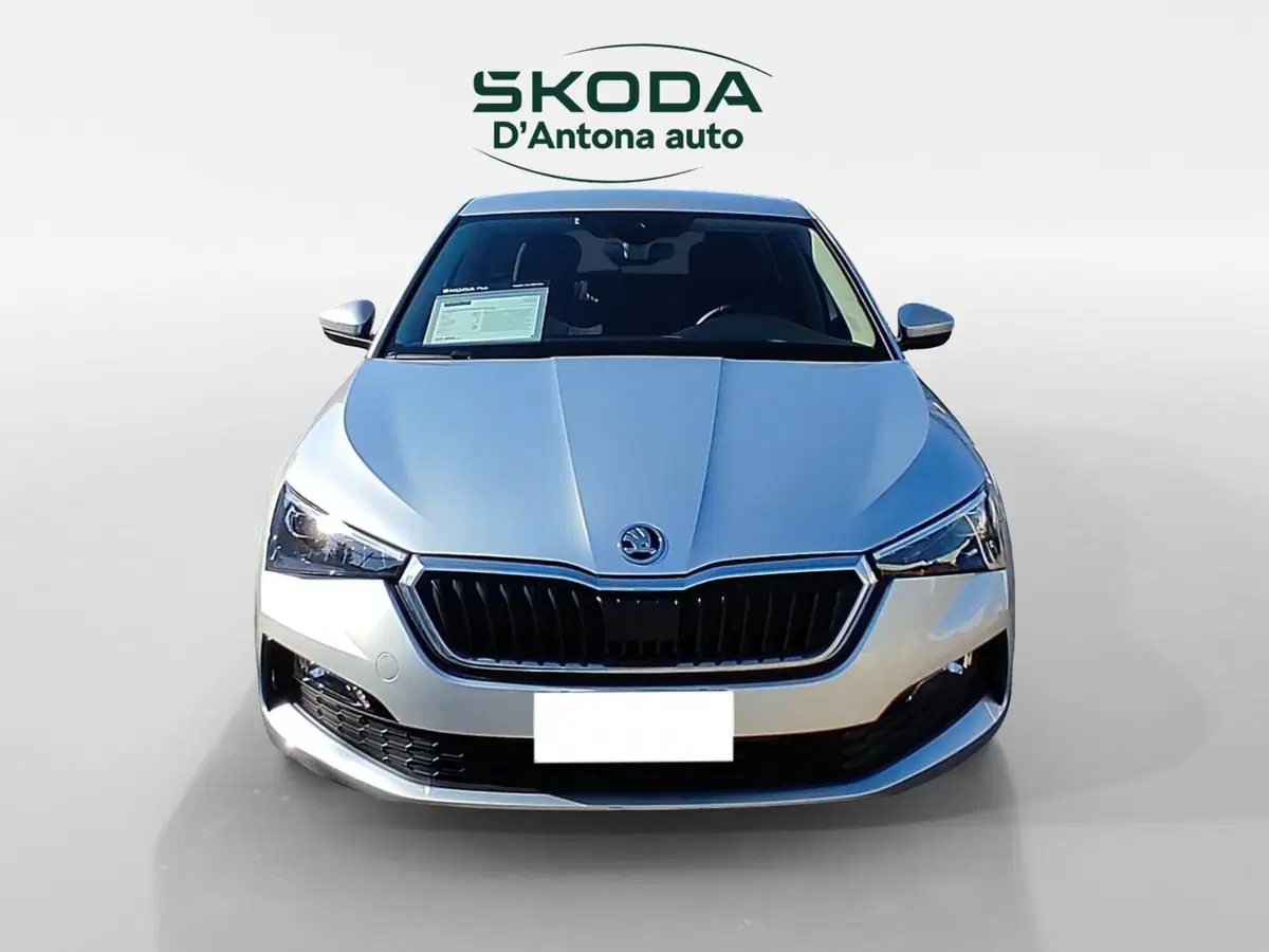 Skoda Scala usata a Taranto (2)