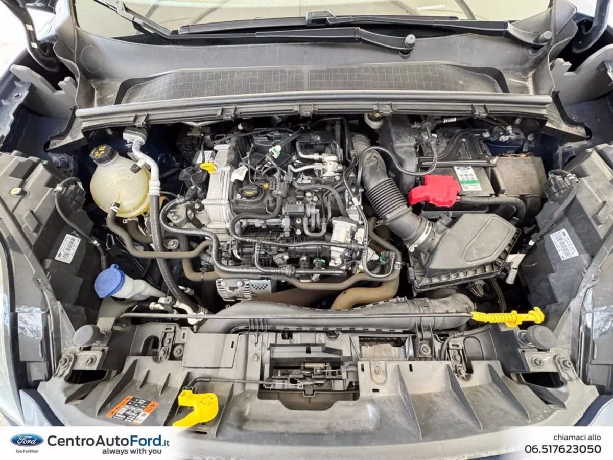 Ford Puma usata a Roma (12)