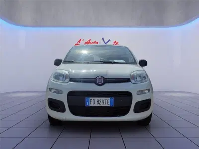 Fiat Panda 1.2 Easy del 2016 usata a Trezzano sul Naviglio
