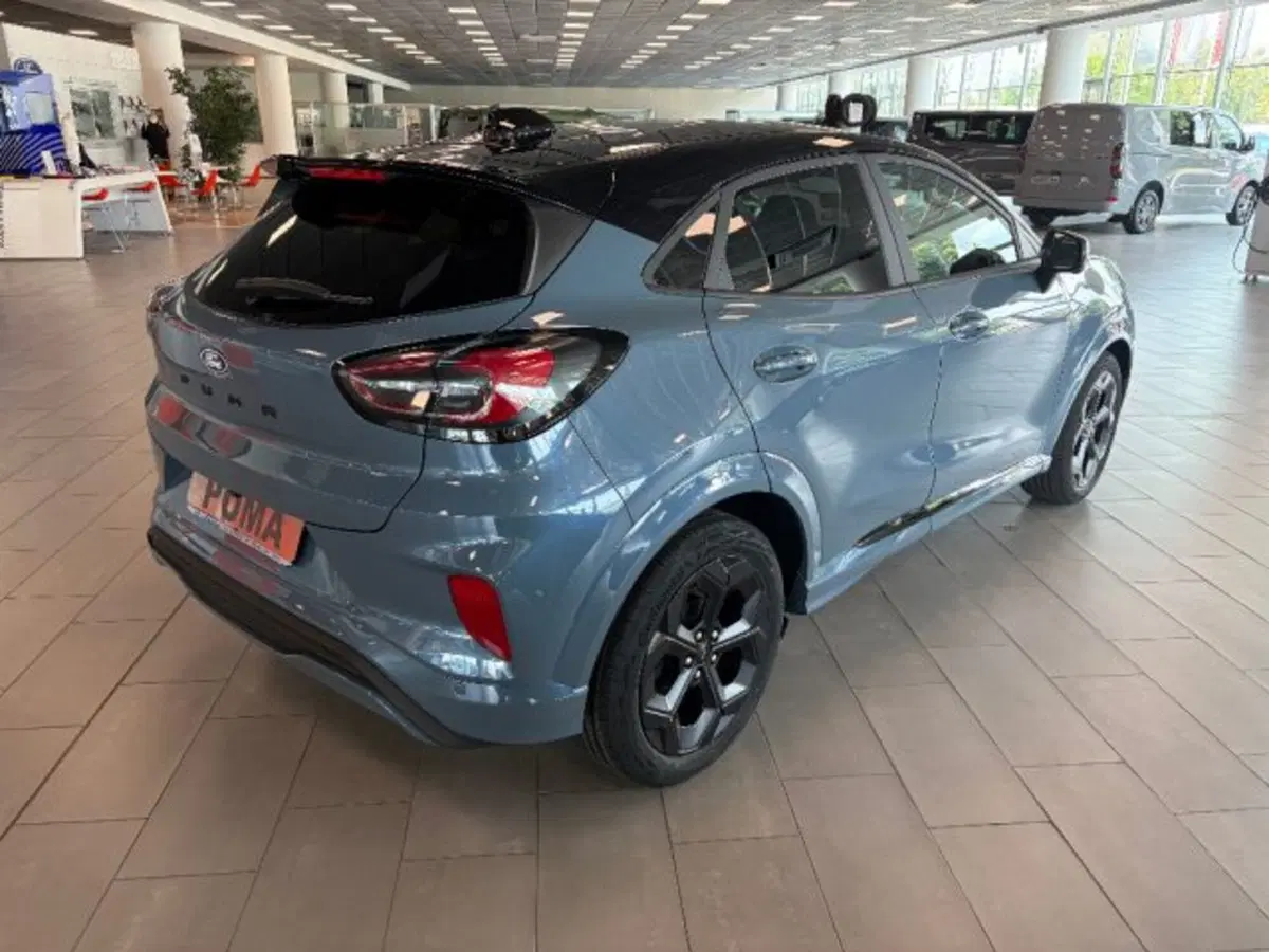 Ford Puma nuova a Cuneo (4)