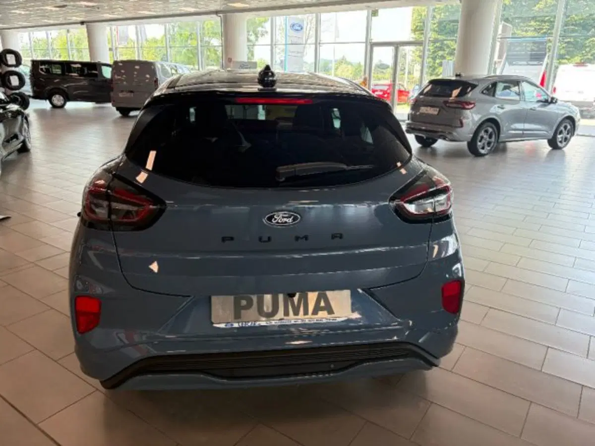 Ford Puma nuova a Cuneo (6)