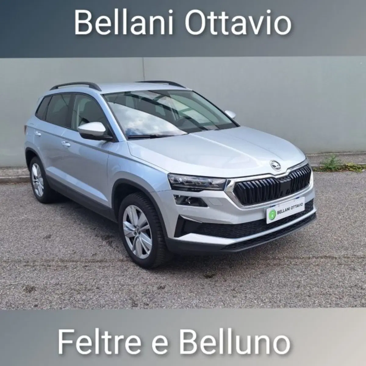 Skoda Karoq usata a Belluno