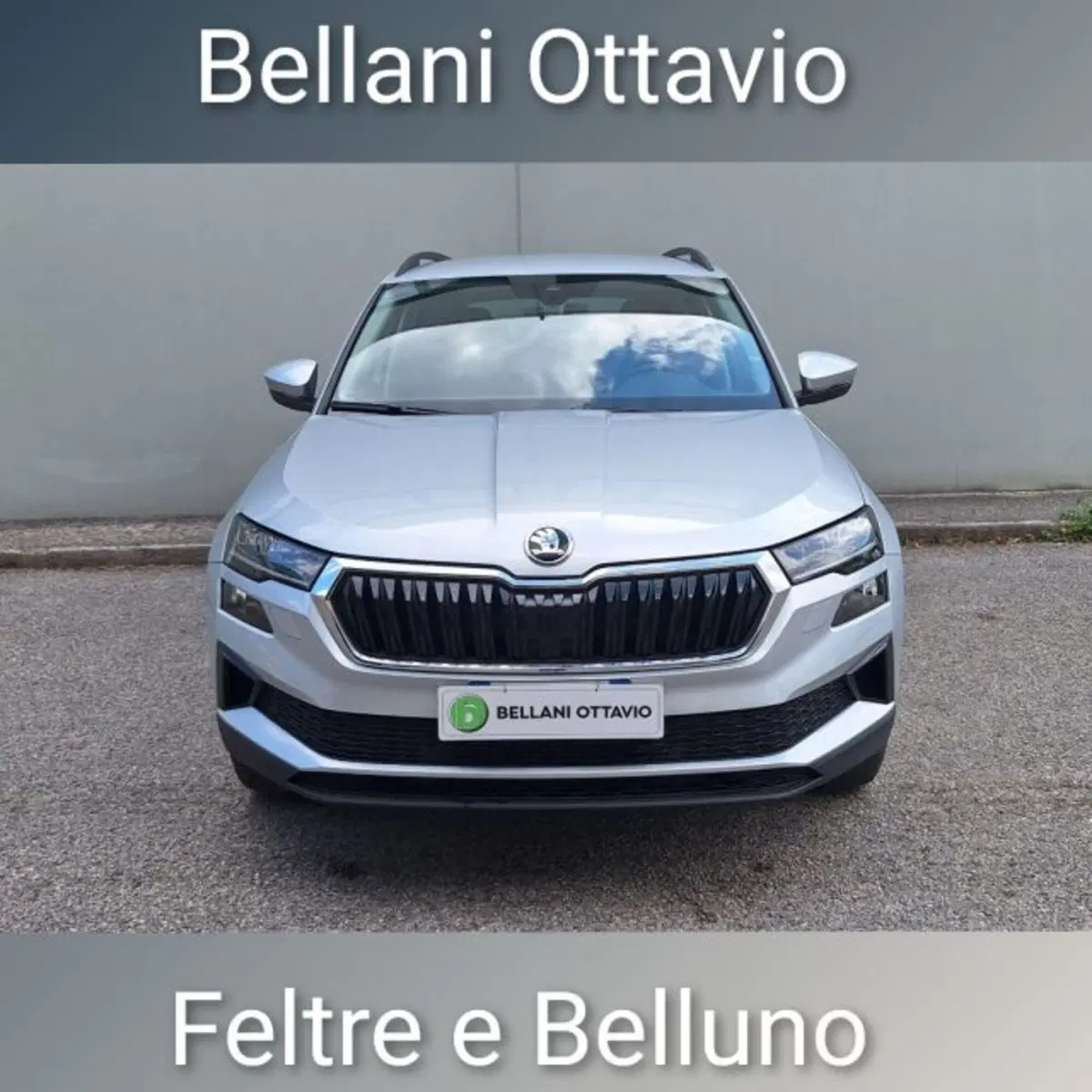 Skoda Karoq usata a Belluno (2)