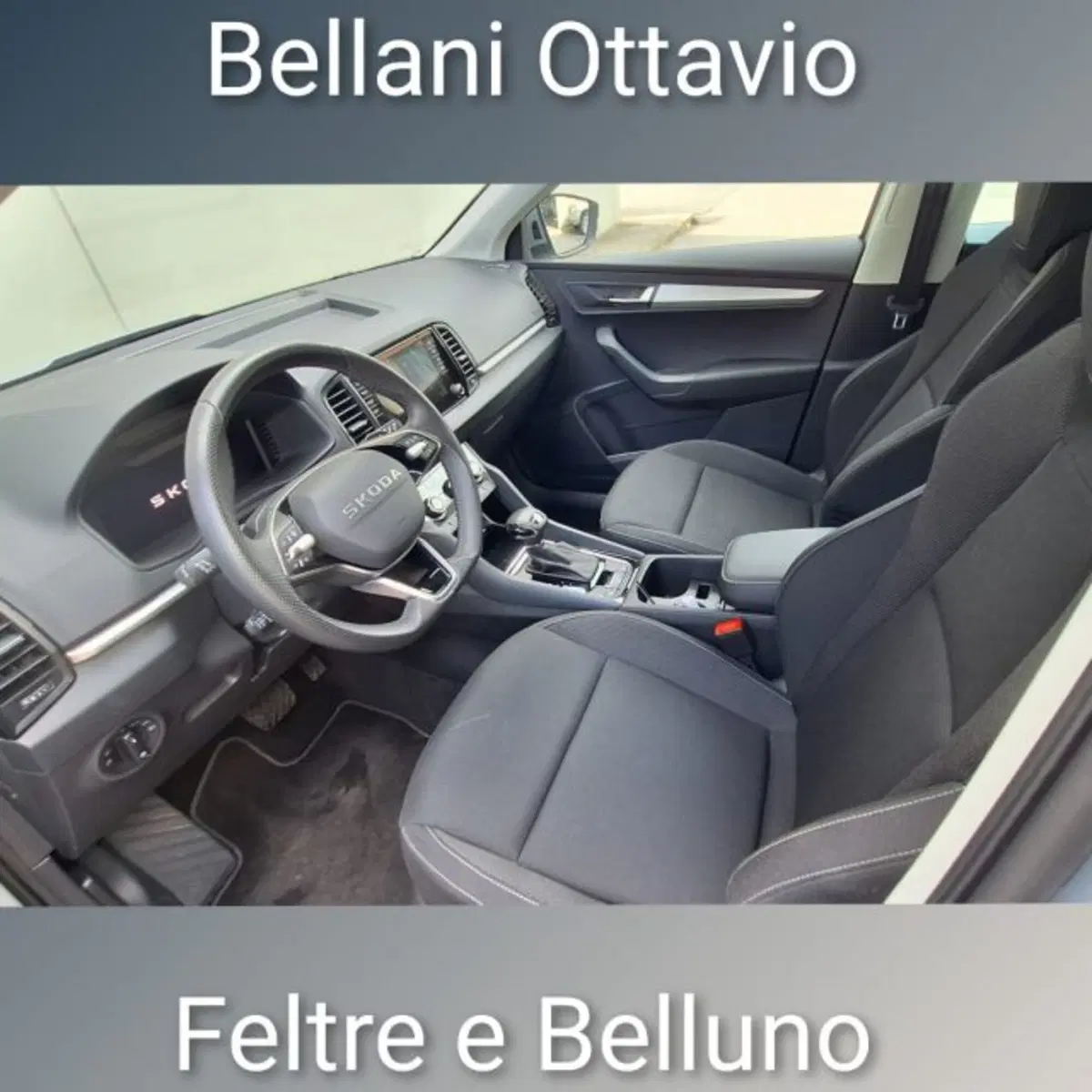 Skoda Karoq usata a Belluno (9)