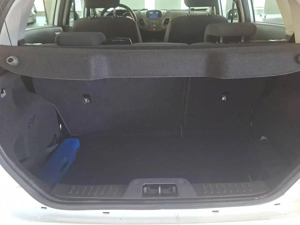 Ford Fiesta usata a Torino (14)