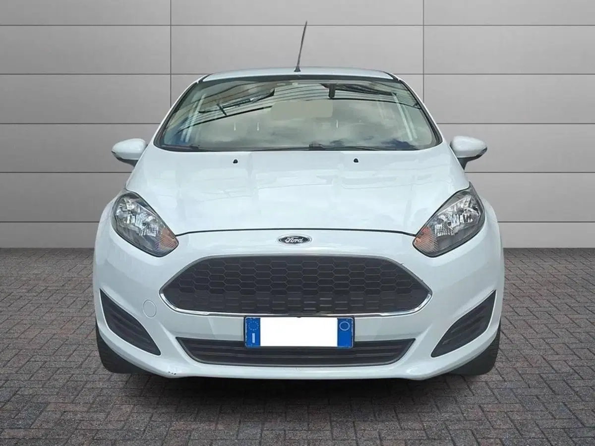Ford Fiesta usata a Torino (3)
