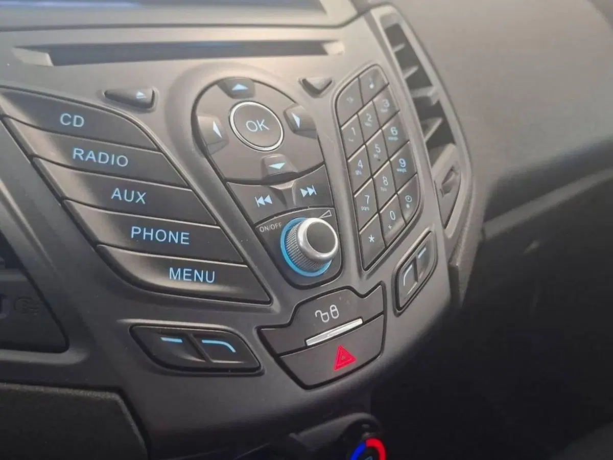 Ford Fiesta usata a Torino (9)