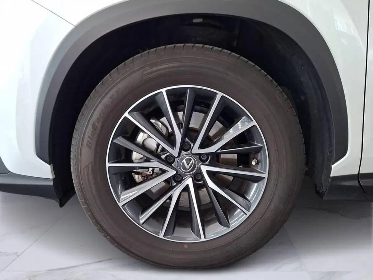 Lexus NX usata a Torino (8)